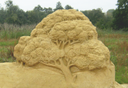 ចម្លាក់ខ្សាច់ 25 បញ្ជី
